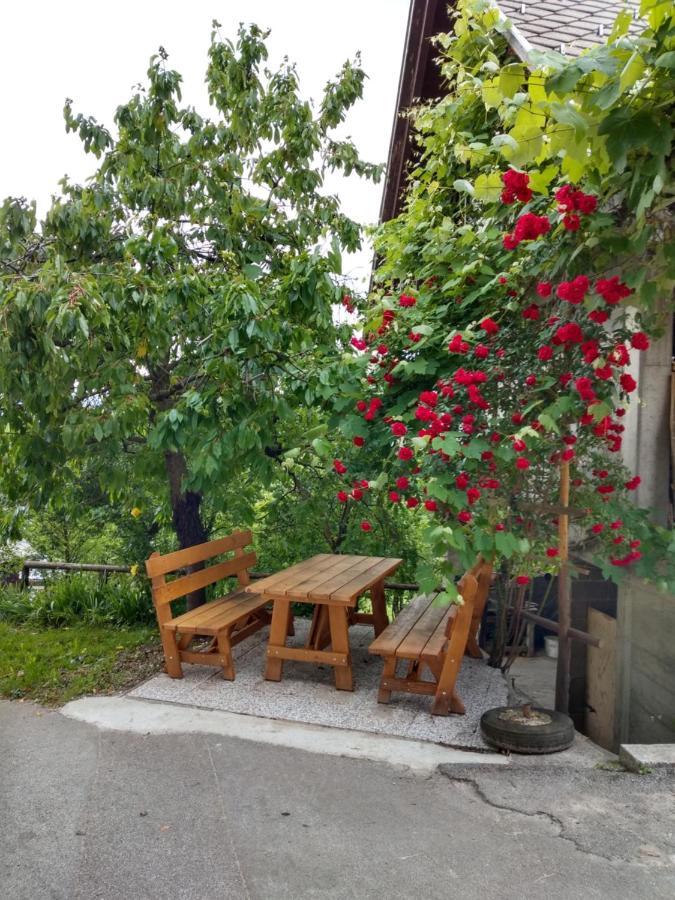 Pr' Hribar Διαμέρισμα Zgornje Gorje Εξωτερικό φωτογραφία