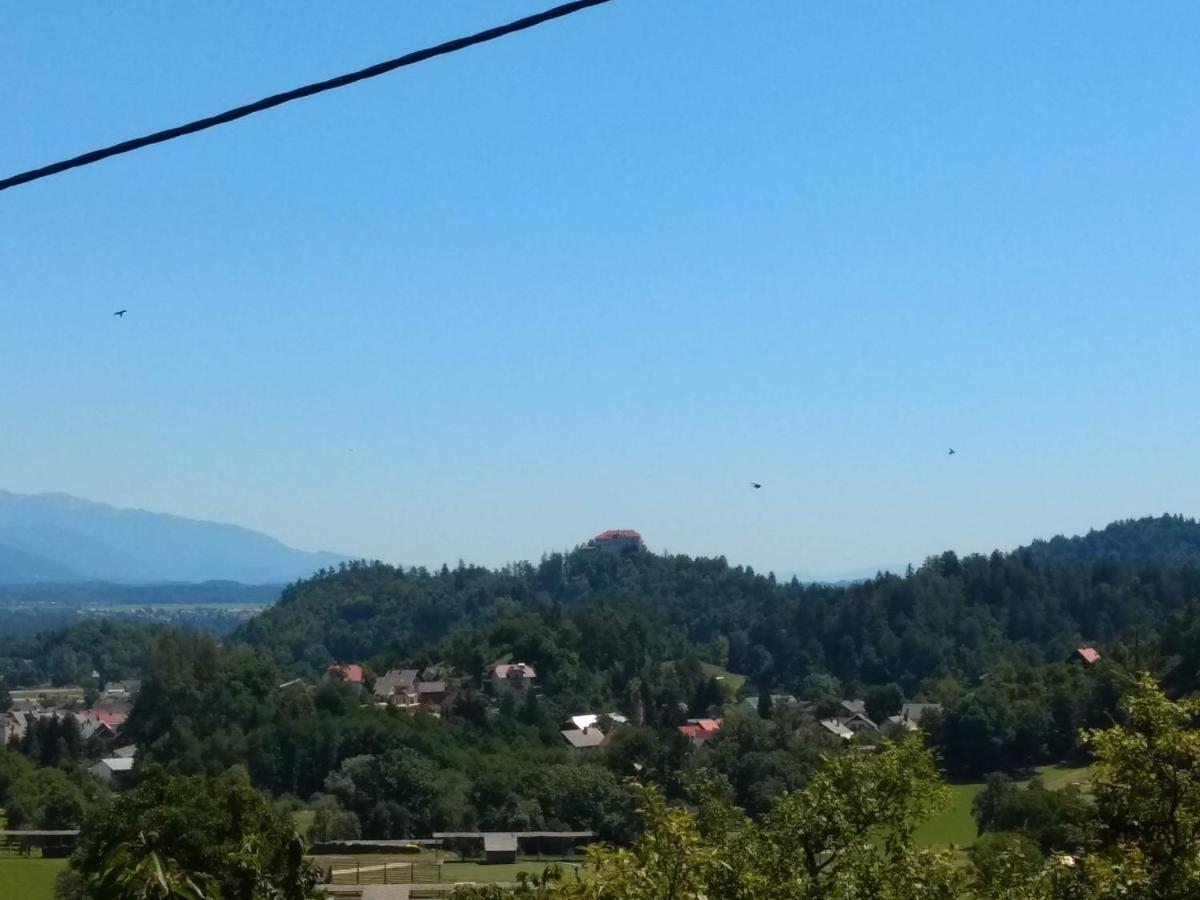 Pr' Hribar Διαμέρισμα Zgornje Gorje Εξωτερικό φωτογραφία