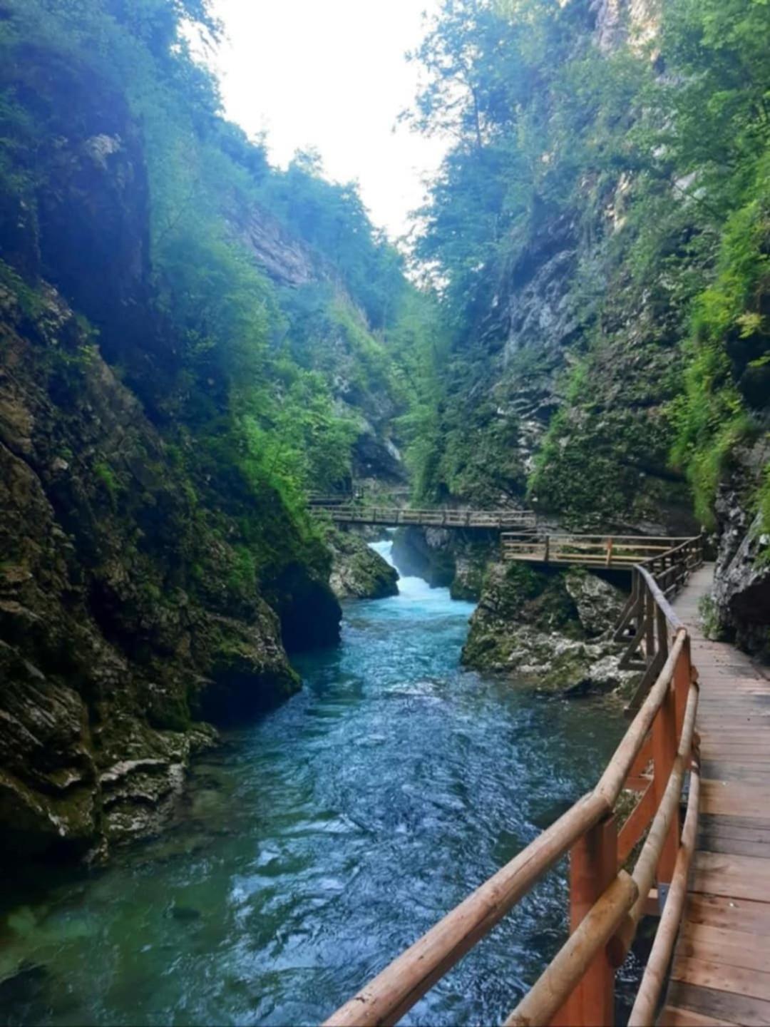 Pr' Hribar Διαμέρισμα Zgornje Gorje Εξωτερικό φωτογραφία