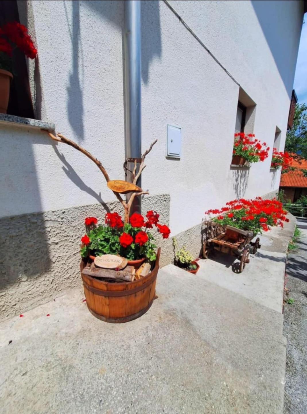 Pr' Hribar Διαμέρισμα Zgornje Gorje Εξωτερικό φωτογραφία