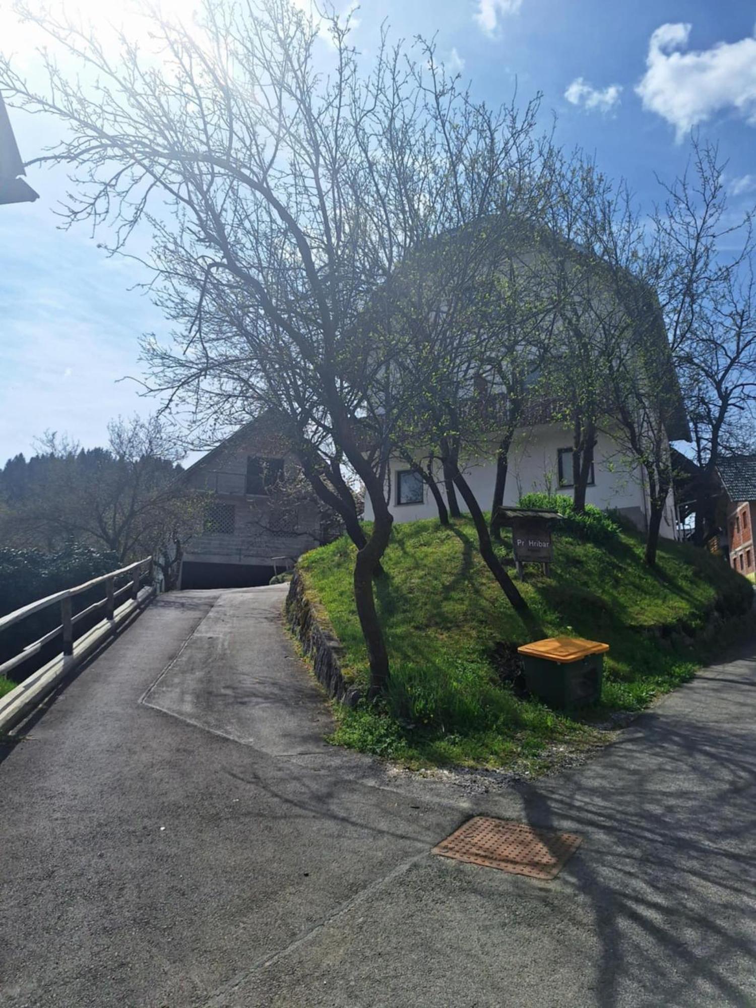 Pr' Hribar Διαμέρισμα Zgornje Gorje Εξωτερικό φωτογραφία
