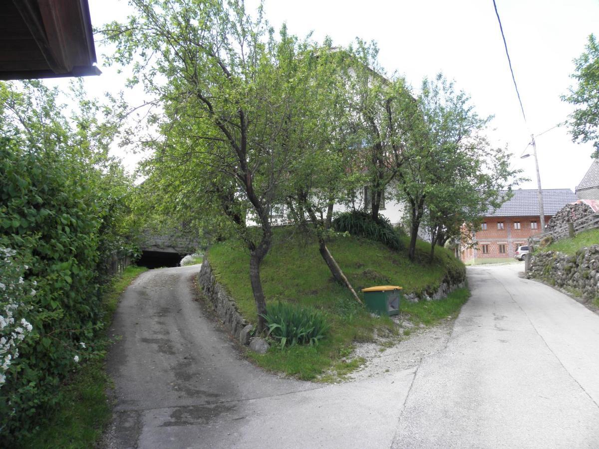 Pr' Hribar Διαμέρισμα Zgornje Gorje Εξωτερικό φωτογραφία
