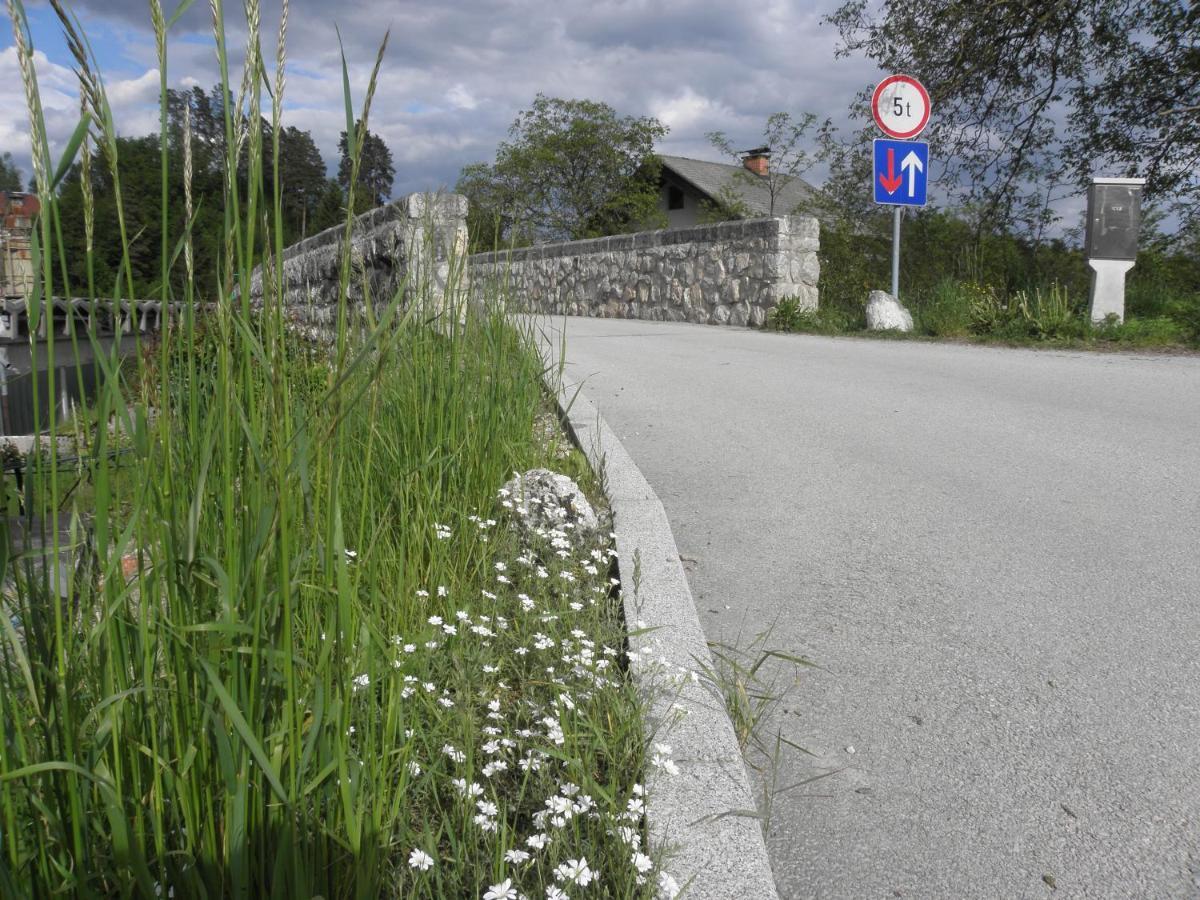 Pr' Hribar Διαμέρισμα Zgornje Gorje Εξωτερικό φωτογραφία